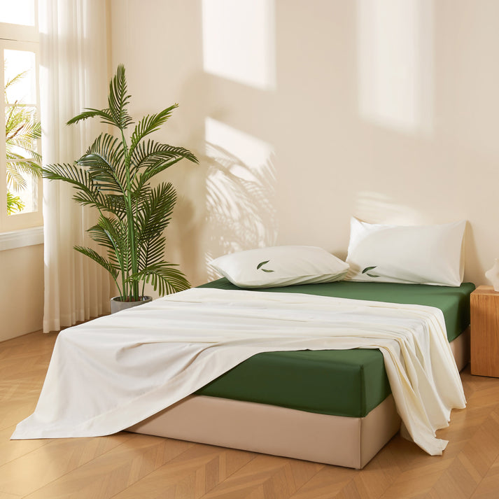 Signature 100% Long-Staple Cotton Sheet Set – White & Palm Leaf Green